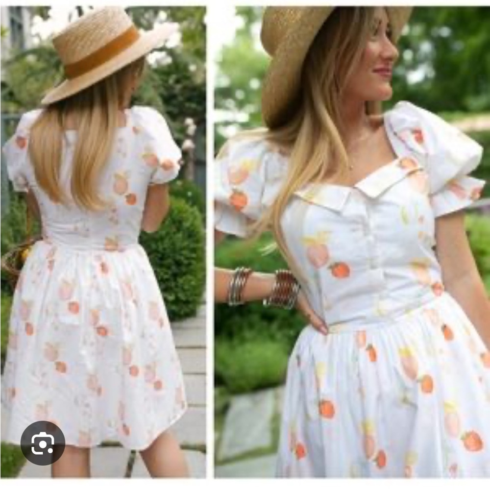 NWT Ivy City Co Fruit Medley Dress size 2 🍊 - Picture 6 of 7